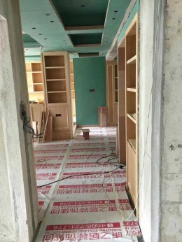 力高滨湖国际 木工工艺在建工地参观